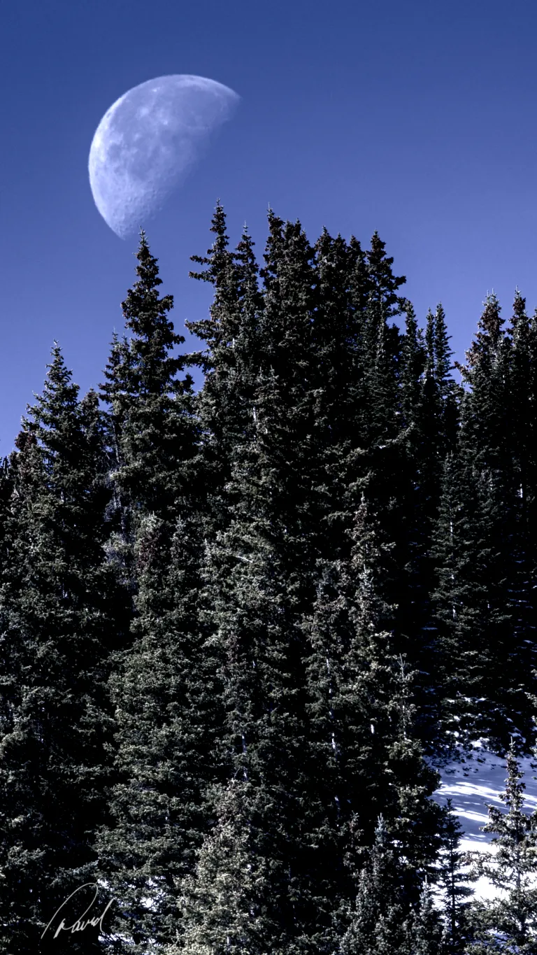 Moon Over Berthoud Pass