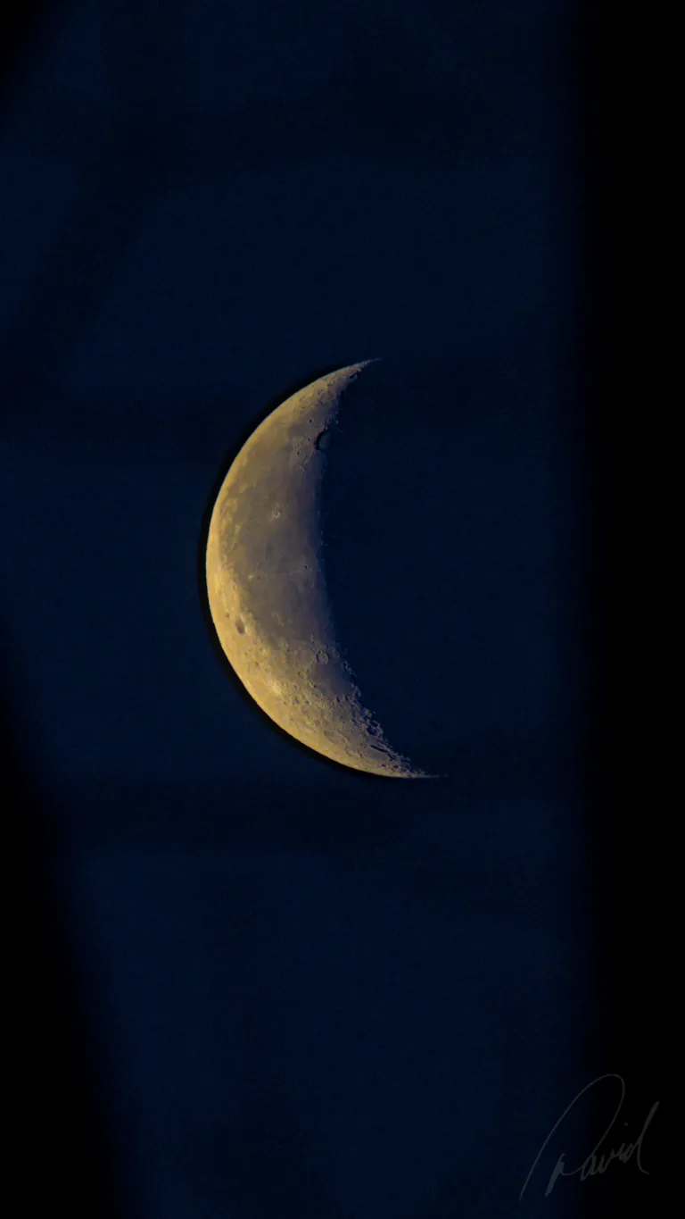 Predawn Waning Cresent